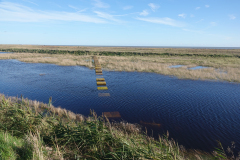 Stepping-Stomes-acroos-the-creek-at-Shingle-Street