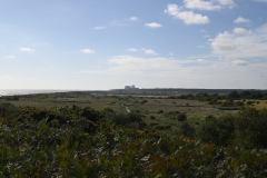 Looking-south-from-the-coastguard-cottages