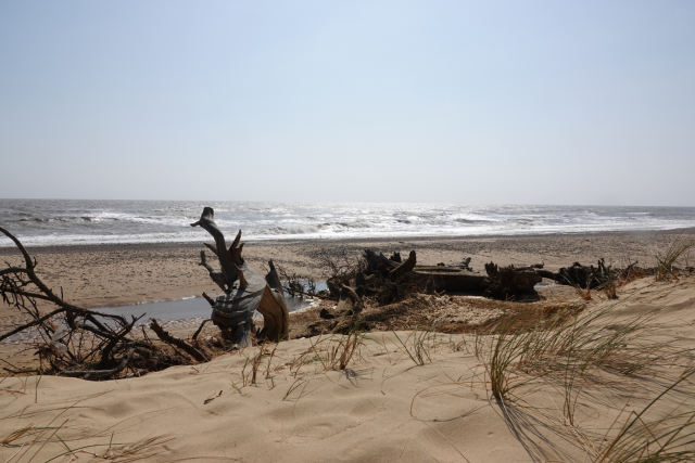 Covehithe-Beach